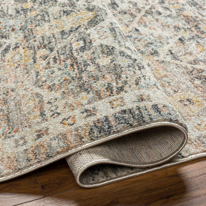 Surya Rojin ROJ-2301 Oatmeal Traditional  Rug