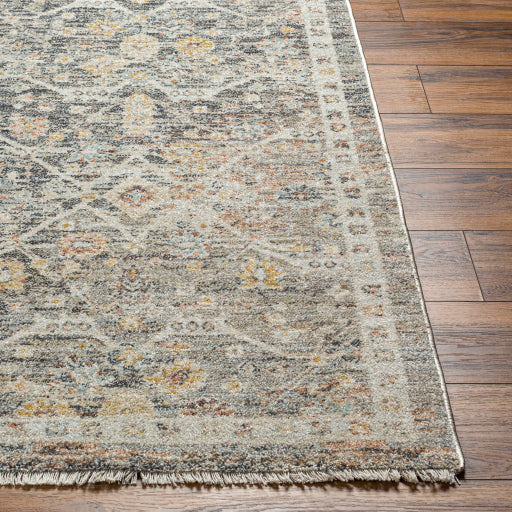 Surya Rojin ROJ-2301 Oatmeal Traditional  Rug