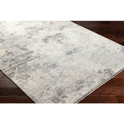 Surya Rojin ROJ-2302 Gray Modern  Rug