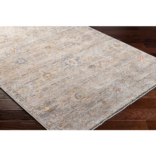 Surya Rojin ROJ-2303 Oatmeal Traditional  Rug