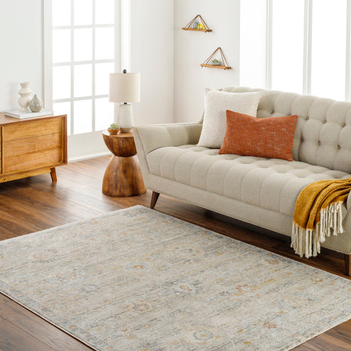 Surya Rojin ROJ-2303 Oatmeal Traditional  Rug