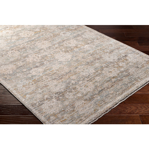 Surya Rojin ROJ-2304 Taupe Traditional  Rug