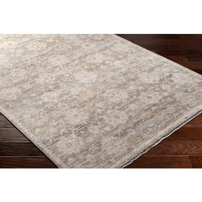 Surya Rojin ROJ-2304 Taupe Traditional  Rug