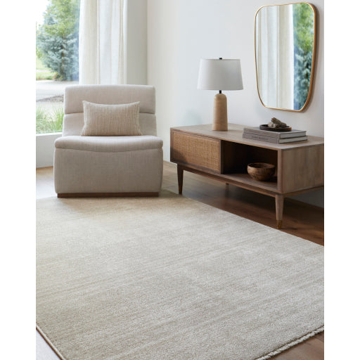 Surya Rojin ROJ-2305 Oatmeal Modern  Rug