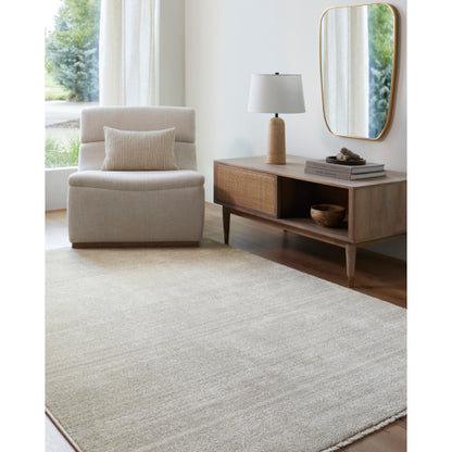Surya Rojin ROJ-2305 Oatmeal Modern  Rug