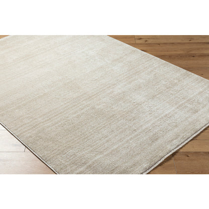 Surya Rojin ROJ-2305 Oatmeal Modern  Rug