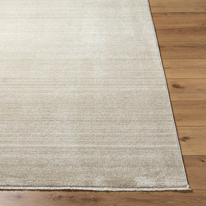 Surya Rojin ROJ-2305 Oatmeal Modern  Rug