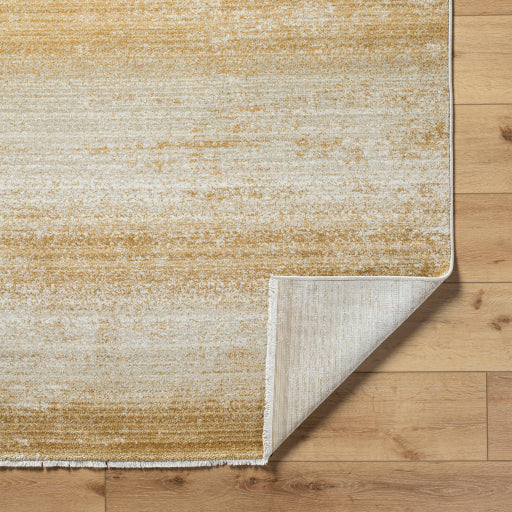 Surya Rojin ROJ-2307 Oatmeal Modern  Rug