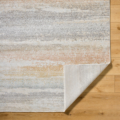 Surya Rojin ROJ-2309 Oatmeal Modern  Rug