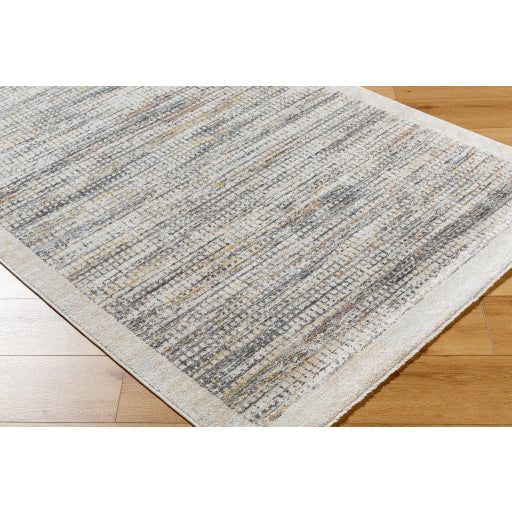 Surya Rojin ROJ-2310 Light Slate Modern  Rug