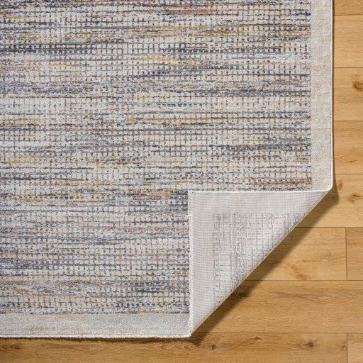 Surya Rojin ROJ-2310 Light Slate Modern  Rug