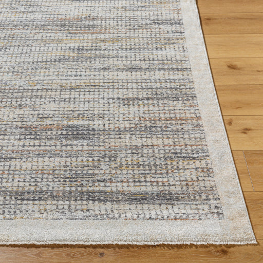 Surya Rojin ROJ-2310 Light Slate Modern  Rug