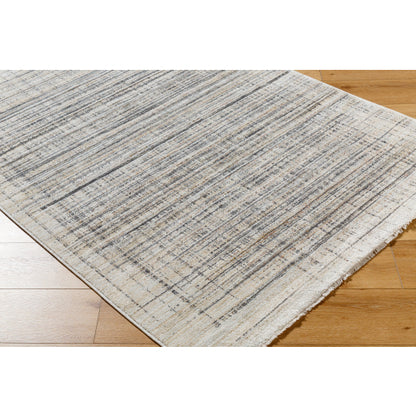 Surya Rojin ROJ-2311 Light Slate Modern  Rug