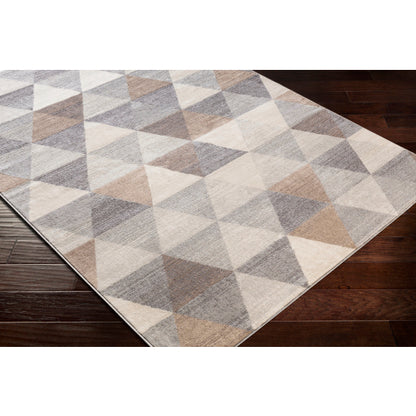 Surya Roma ROM-2303 Gray Modern  Rug