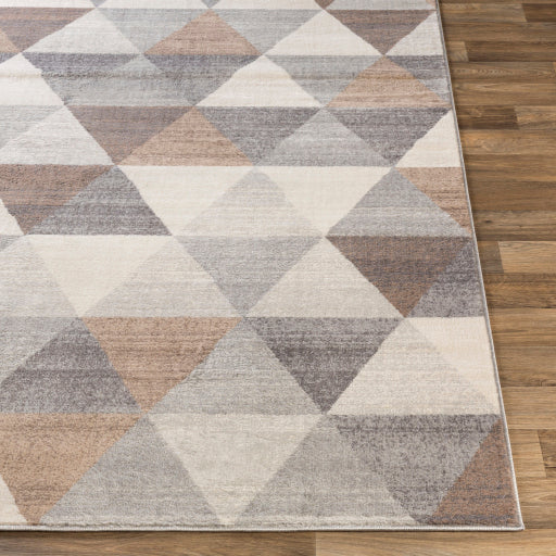 Surya Roma ROM-2303 Gray Modern  Rug