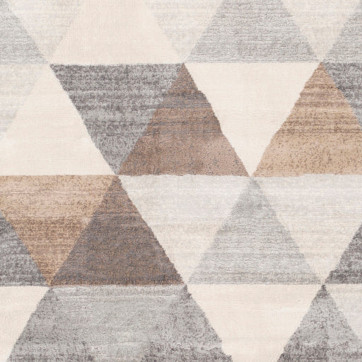 Surya Roma ROM-2303 Gray Modern  Rug