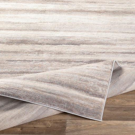 Surya Roma ROM-2306 Charcoal Modern  Rug