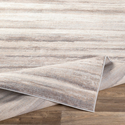 Surya Roma ROM-2306 Charcoal Modern  Rug