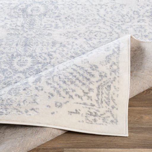 Surya Roma ROM-2314 Gray Traditional  Rug