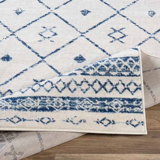 Surya Roma ROM-2339 Dark Blue Global  Rug