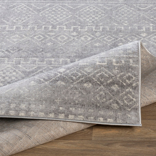 Surya Roma ROM-2340 Gray Global  Rug