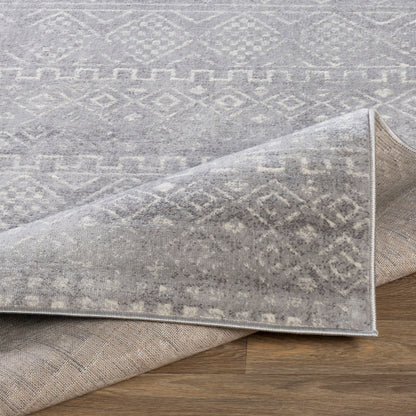 Surya Roma ROM-2340 Gray Global  Rug