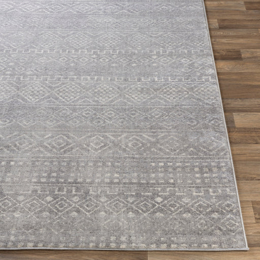 Surya Roma ROM-2340 Gray Global  Rug