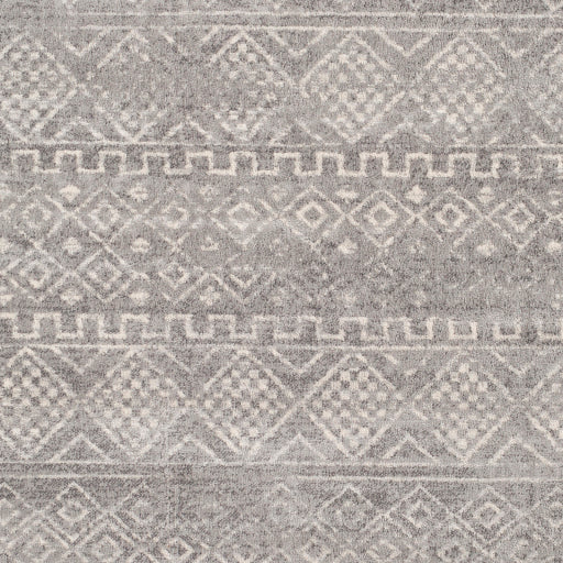 Surya Roma ROM-2340 Gray Global  Rug