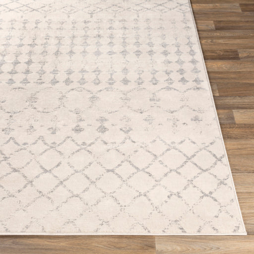 Surya Roma ROM-2343 Off-White Global  Rug