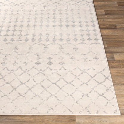 Surya Roma ROM-2343 Off-White Global  Rug