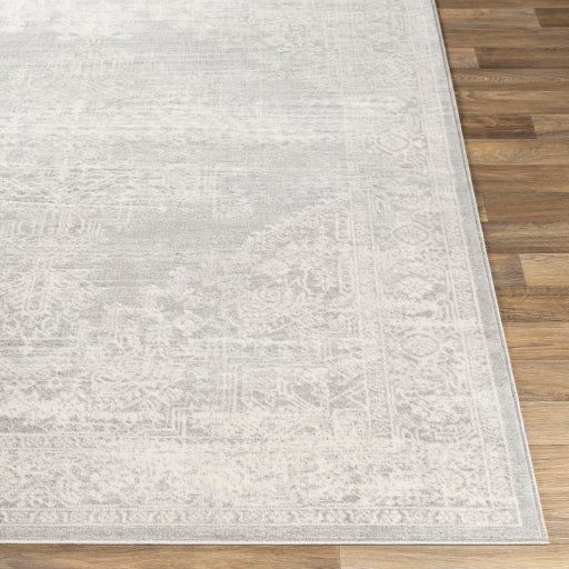 Surya Roma ROM-2348 Light Gray Traditional  Rug