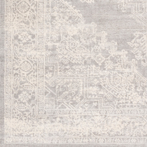 Surya Roma ROM-2348 Light Gray Traditional  Rug
