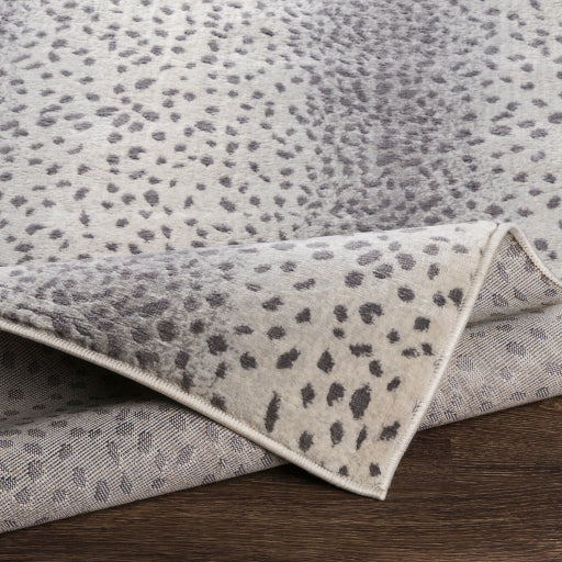 Surya Roma ROM-2371 Charcoal Modern  Rug