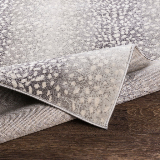 Surya Roma ROM-2373 Light Slate Modern  Rug