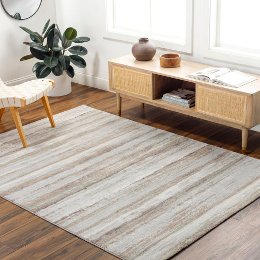 Surya Roma ROM-2402 Light Gray Modern  Rug