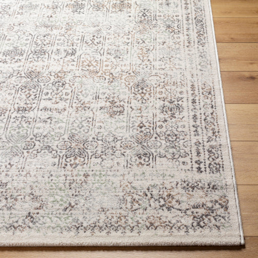 Surya Roma ROM-2403 Cream Traditional  Rug