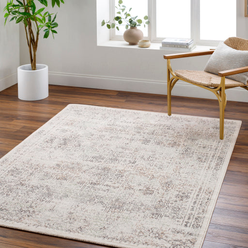 Surya Roma ROM-2403 Cream Traditional  Rug