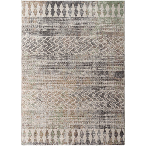 Surya Roma Rug Surya Roma ROM-2406 Cream Global Machine Woven Rug – Atlanta Designer Rugs