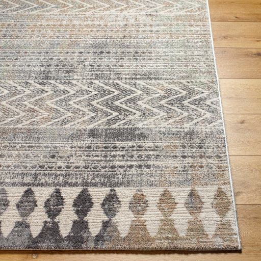 Surya Roma Rug Surya Roma ROM-2406 Cream Global Machine Woven Rug – Atlanta Designer Rugs