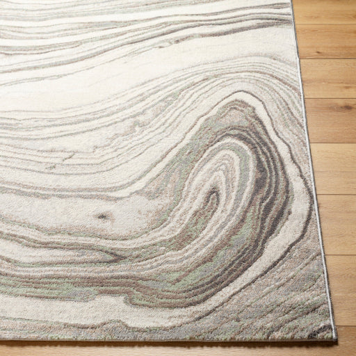 Surya Roma ROM-2409 Cream Modern  Rug