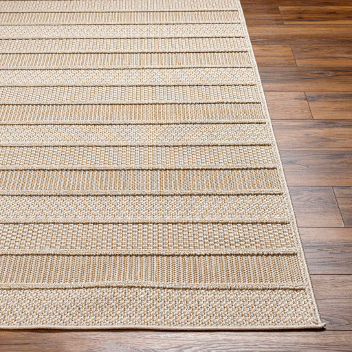 Surya Rockport RPT-2300 Ivory Modern  Rug