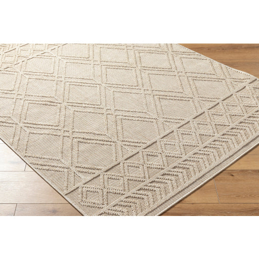 Surya Rockport RPT-2302 Ivory Modern  Rug