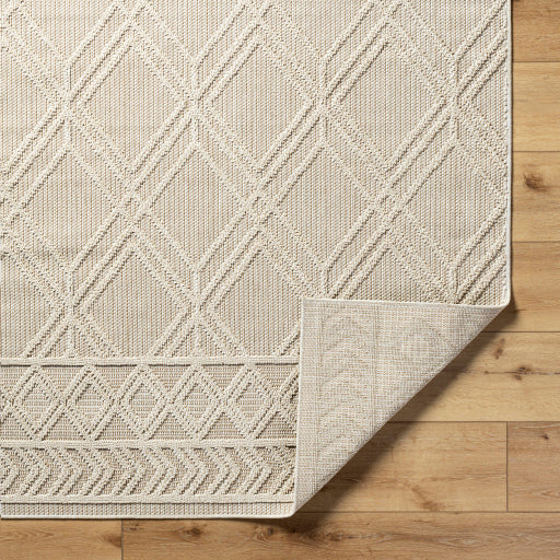Surya Rockport RPT-2302 Ivory Modern  Rug