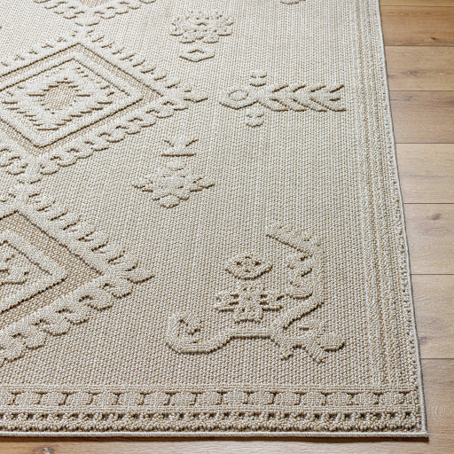 Surya Rockport RPT-2304 Ivory Modern  Rug