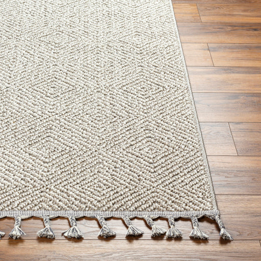 Surya Rockport RPT-2310 Light Gray Modern  Rug