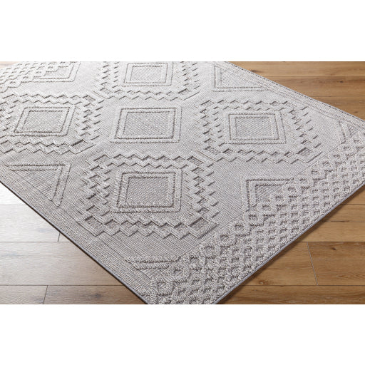 Surya Rockport RPT-2319 Light Gray Modern  Rug