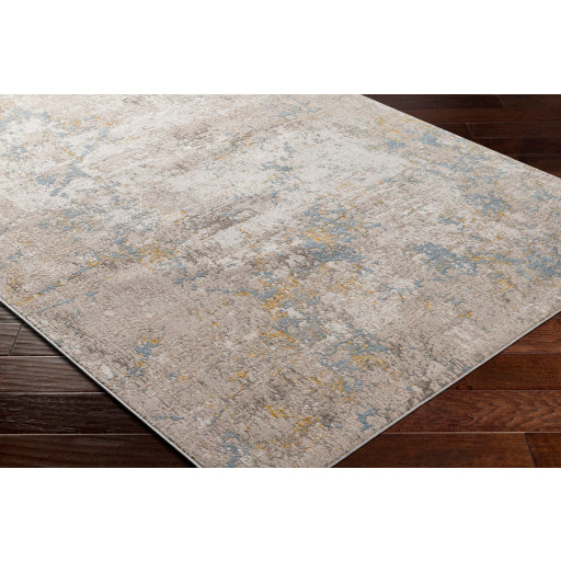 Surya Roswell RSW-2300 Gray Modern  Rug