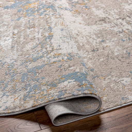 Surya Roswell RSW-2300 Gray Modern  Rug