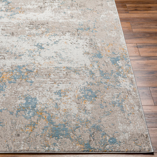 Surya Roswell RSW-2300 Gray Modern  Rug