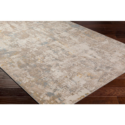 Surya Roswell RSW-2302 Gray Modern  Rug